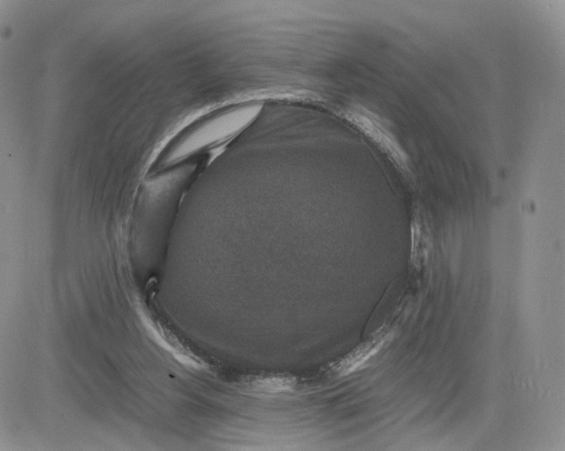 X0000081470156200701262012