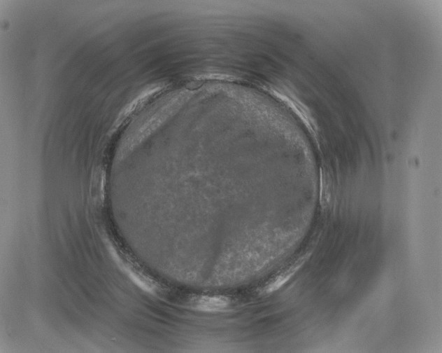 X0000081470157200701262012