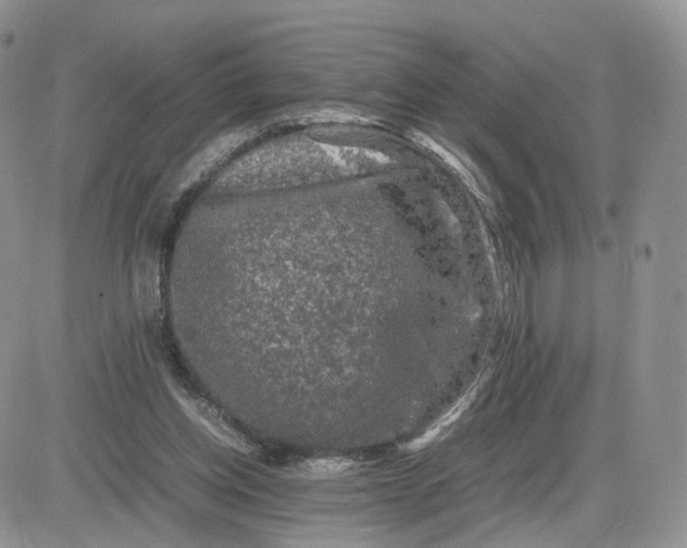 X0000081470158200701262012