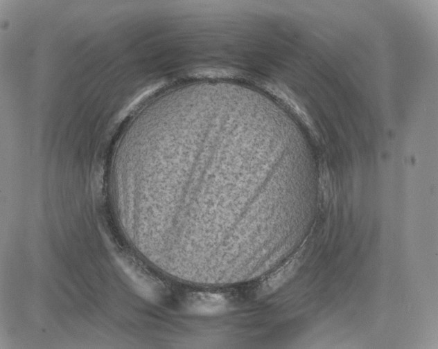 X0000081470159200701262012