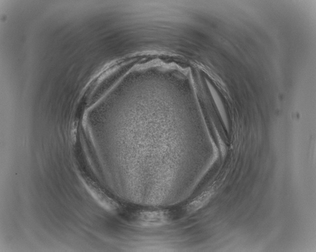 X0000081470160200701262012