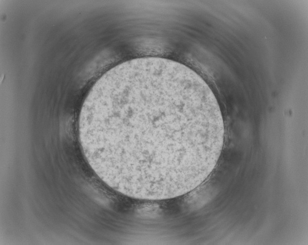 X0000081470162200701262012