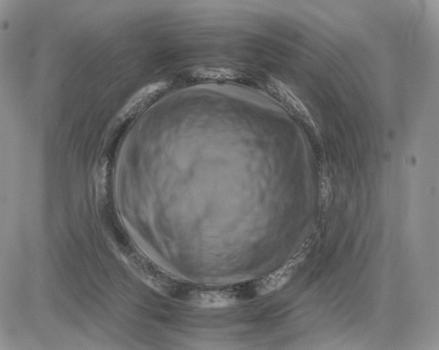 X0000081470163200701262012