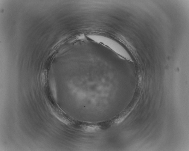 X0000081470165200701262012