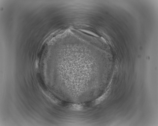 X0000081470166200701262012