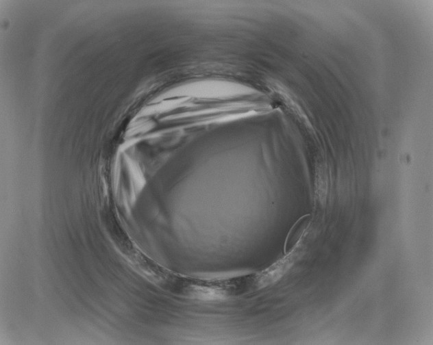 X0000081470167200701262012