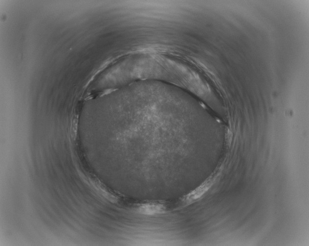 X0000081470168200701262012