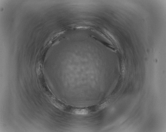 X0000081470169200701262012