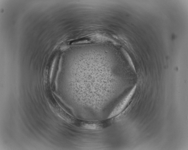 X0000081470171200701262012