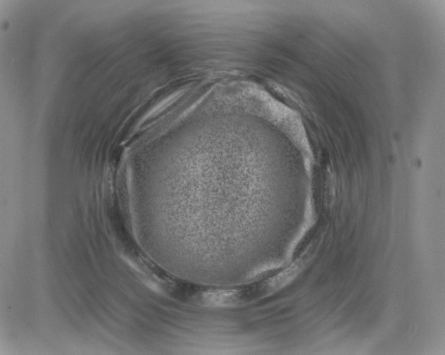 X0000081470172200701262012