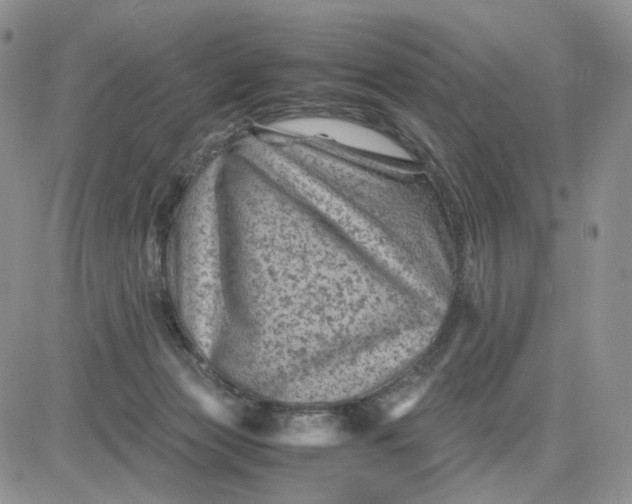 X0000081470173200701262012