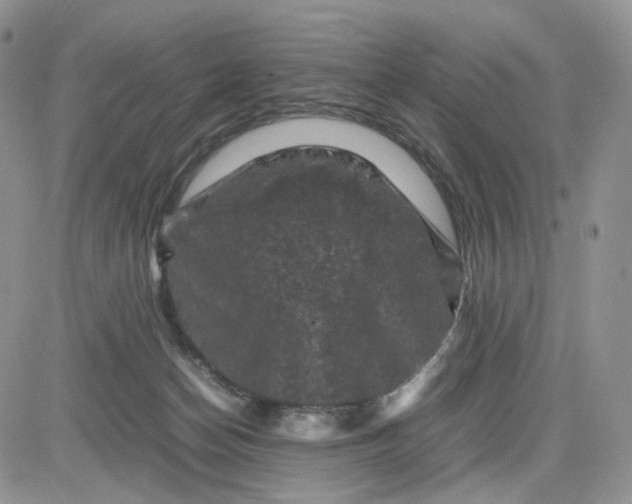 X0000081470174200701262012