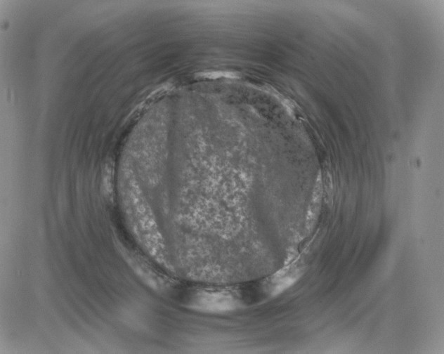 X0000081470175200701262012