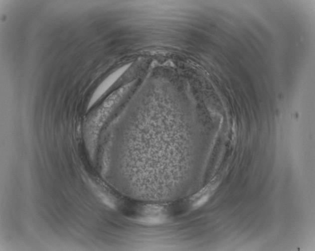 X0000081470176200701262012