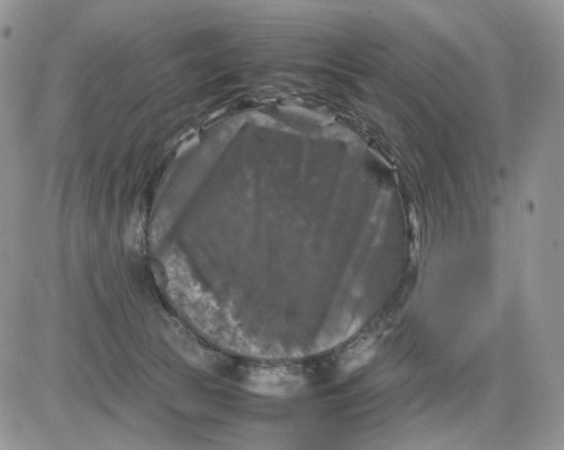 X0000081470177200701262012