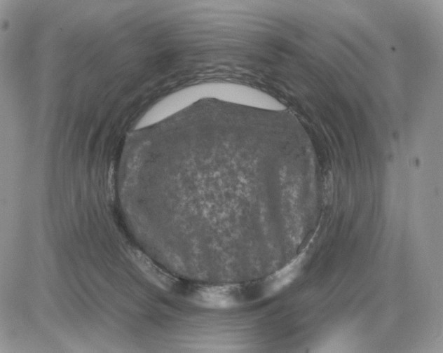 X0000081470178200701262012