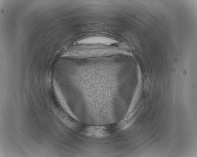 X0000081470179200701262012