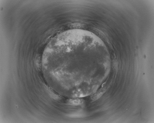 X0000081470181200701262012