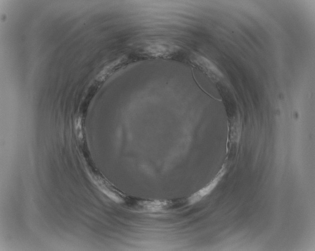 X0000081470182200701262012