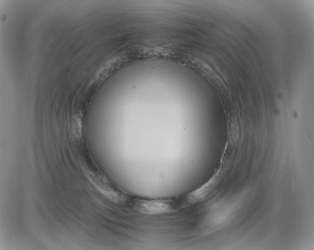 X0000081470183200701262012