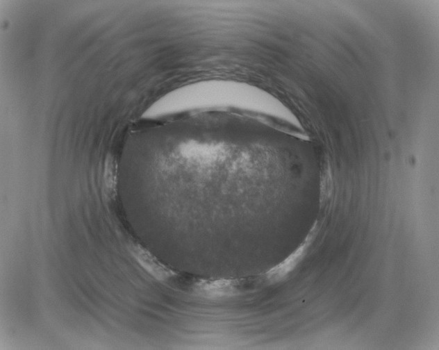 X0000081470186200701262012