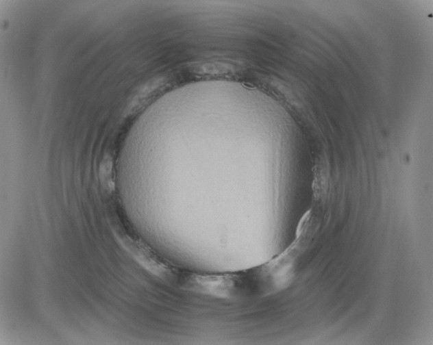 X0000081470187200701262012