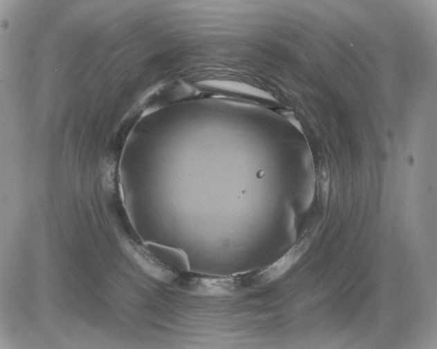 X0000081470188200701262012