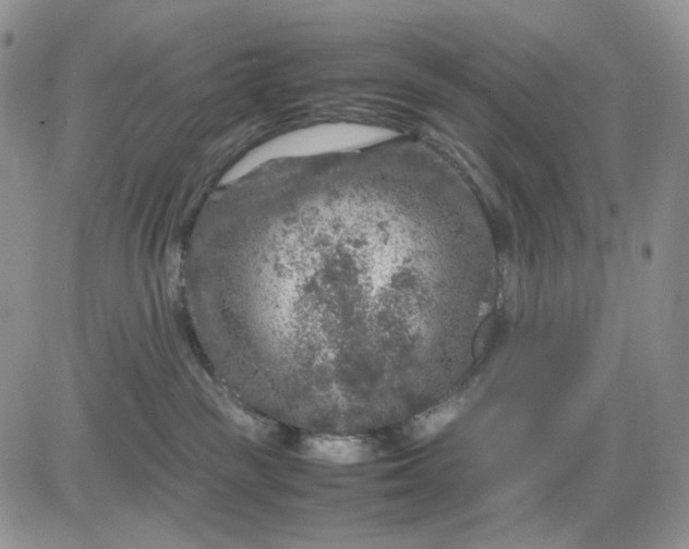 X0000081470189200701262012