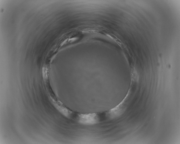 X0000081470191200701262012