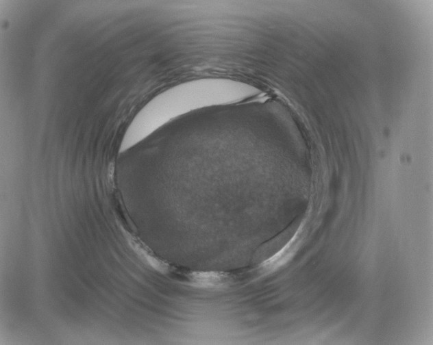 X0000081470192200701262012