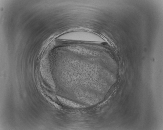 X0000081470193200701262011