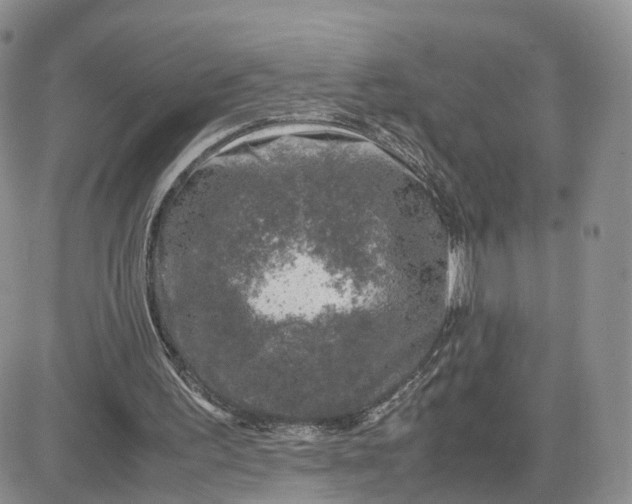 X0000081470195200701262011