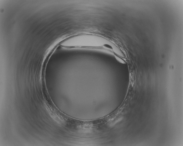 X0000081470196200701262011