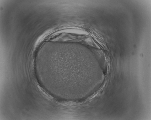 X0000081470197200701262011