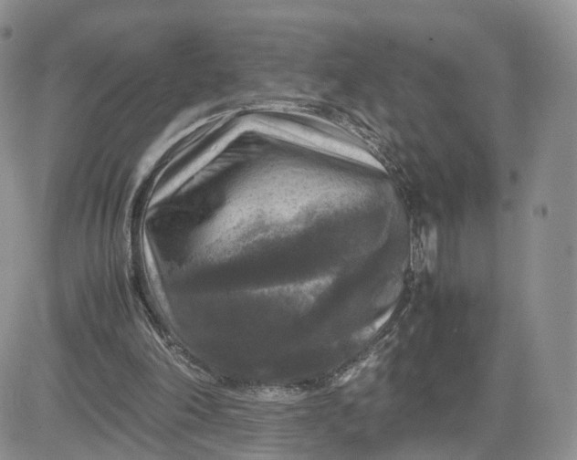 X0000081470198200701262011