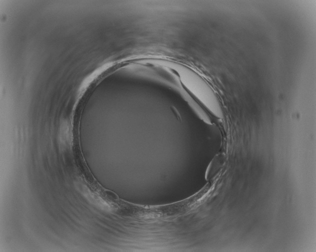 X0000081470200200701262011