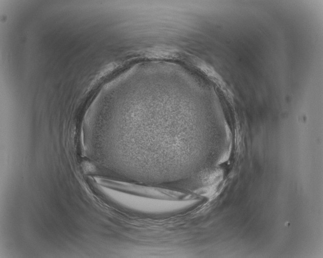 X0000081470201200701262011