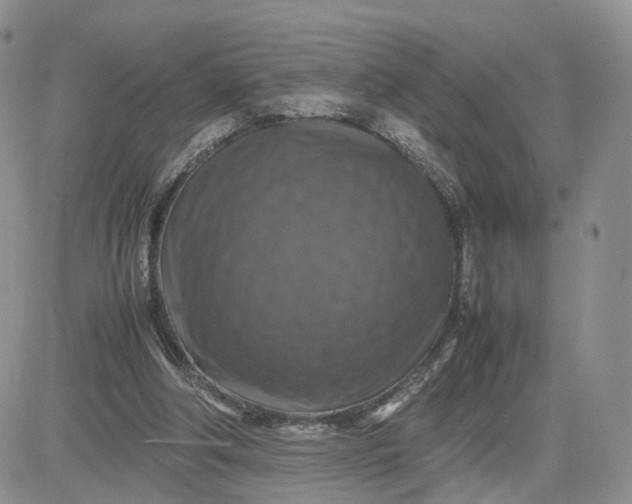 X0000081470202200701262011