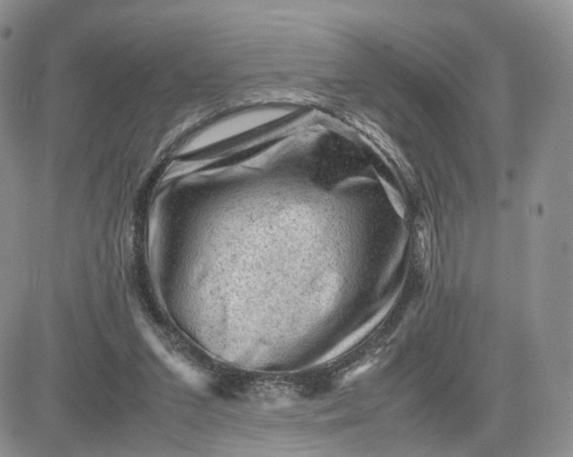 X0000081470207200701262011