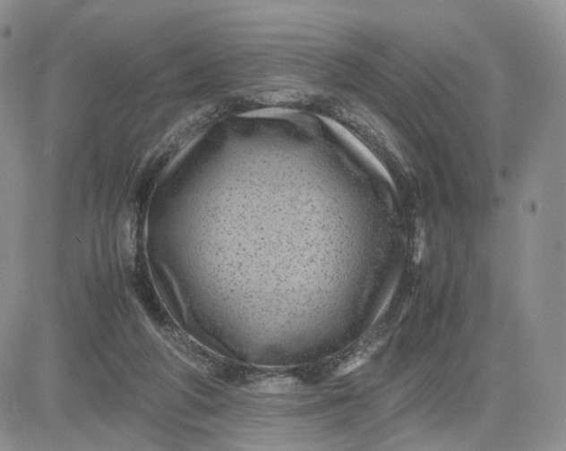 X0000081470210200701262011