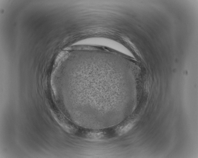 X0000081470213200701262011