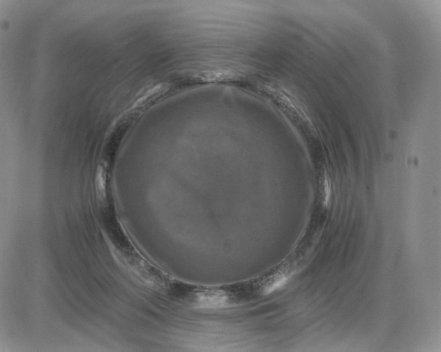 X0000081470214200701262011