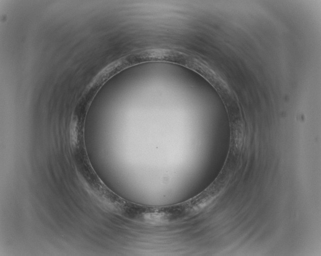 X0000081470216200701262011