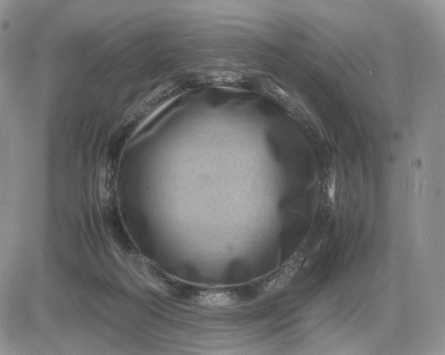 X0000081470218200701262011