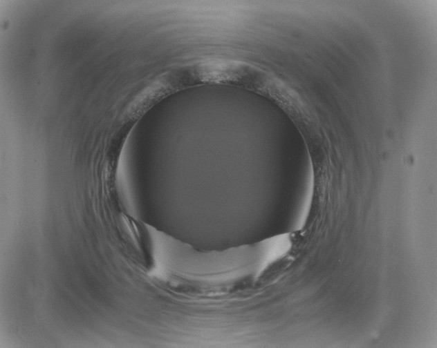 X0000081470219200701262011