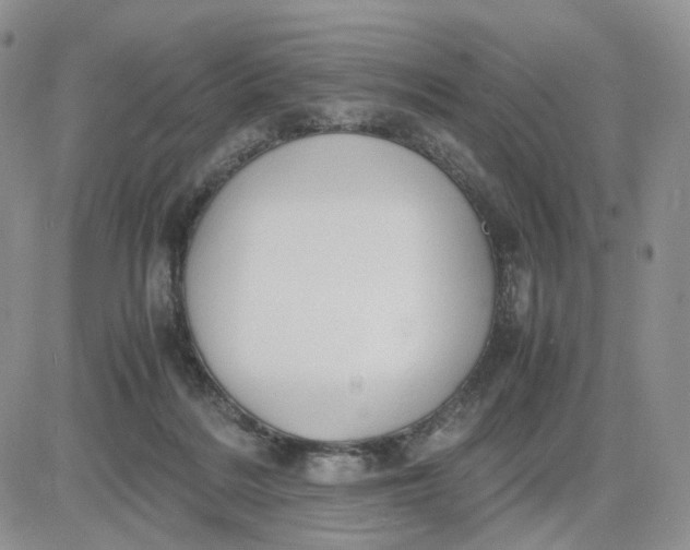 X0000081470220200701262011