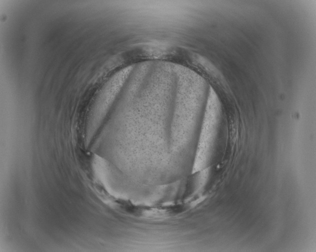 X0000081470221200701262011