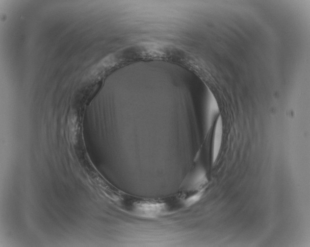 X0000081470223200701262011