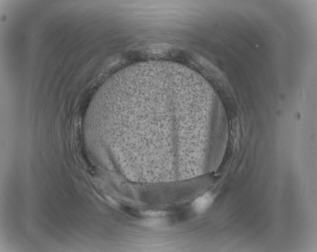 X0000081470225200701262011