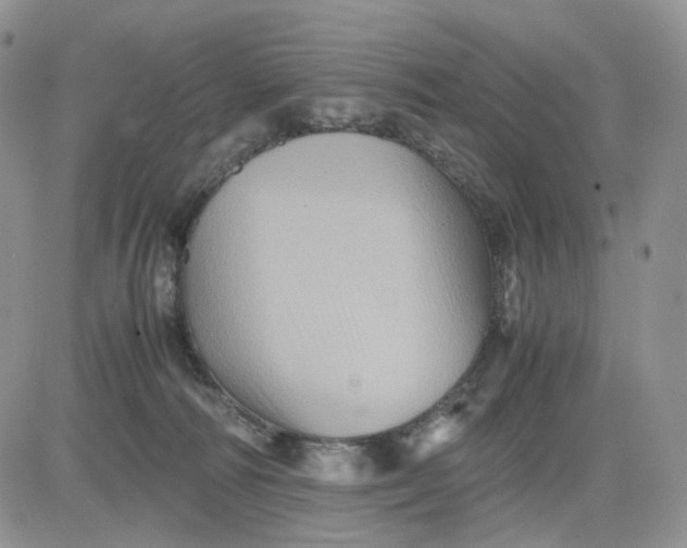 X0000081470226200701262011